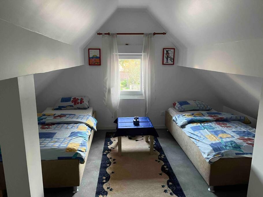 Maison Neuve Chaleureuse Pour 1 A 4 Personnes Schiltigheim Buitenkant foto