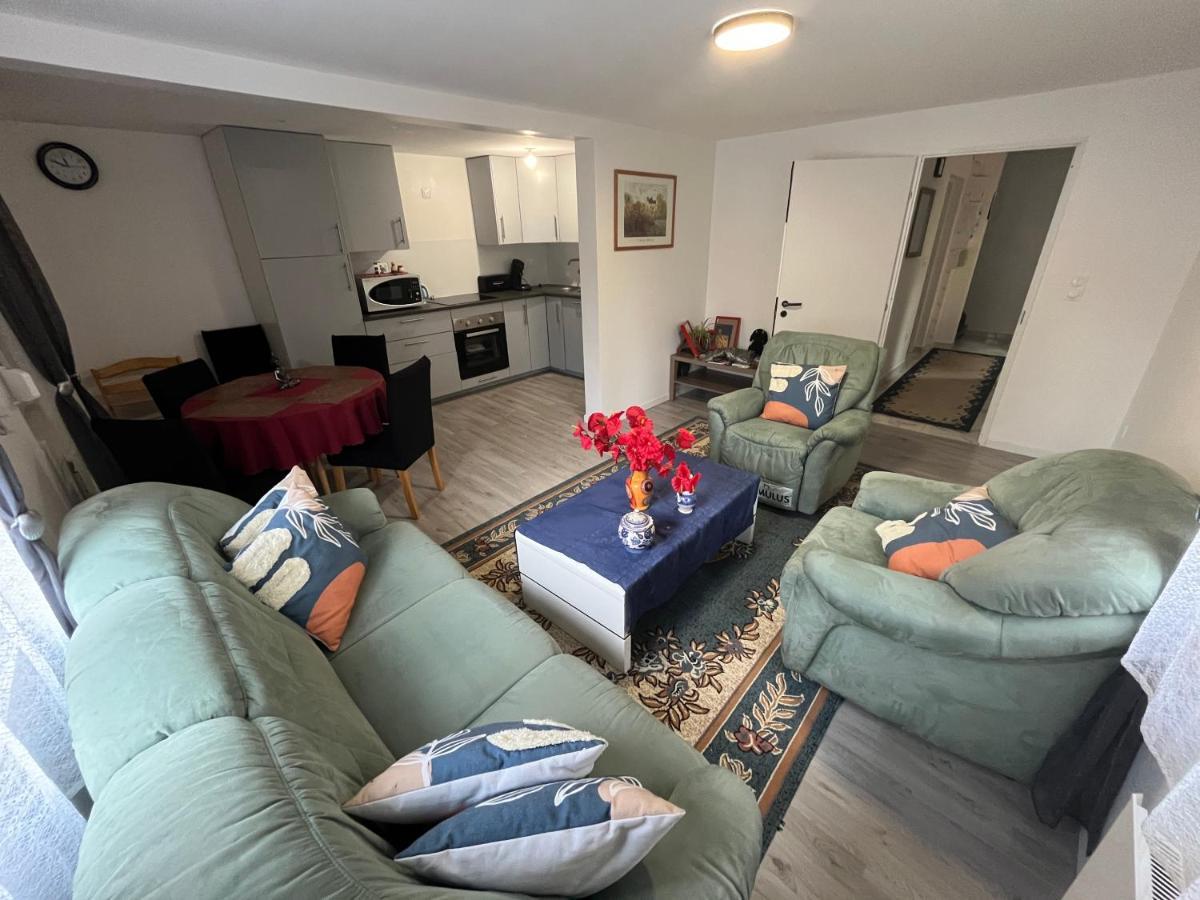 Maison Neuve Chaleureuse Pour 1 A 4 Personnes Schiltigheim Buitenkant foto